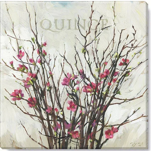 Sullivans Darren Gygi Quince Canvas - Museum Quality Giclee Print, Gallery Wrapped, Handcrafted in USA 14x22W Pink