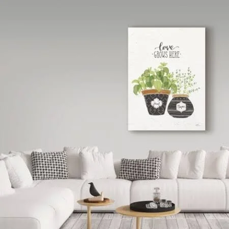 Trademark Fine Art 'Fine Herbs V' Graphic Art Print on Wrapped Canvas - White