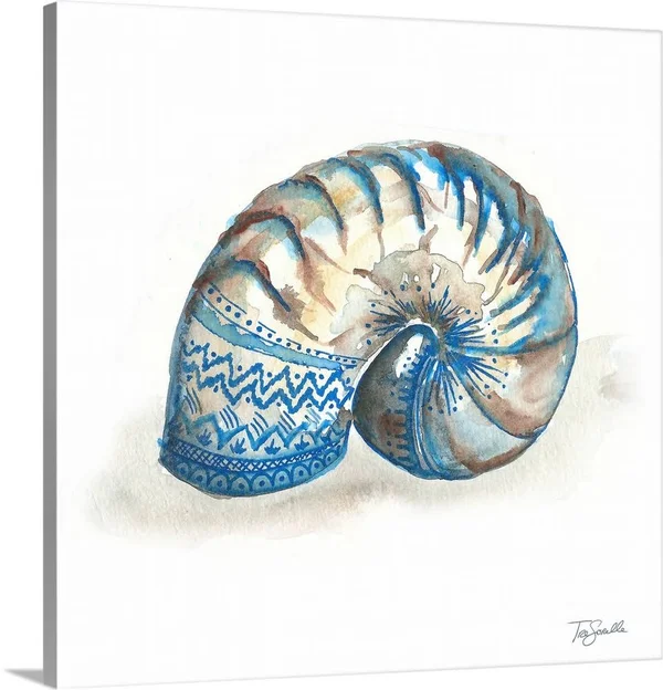Bohemian Shells IV, Canvas Wall Art, 16x16, Great Big Canvas