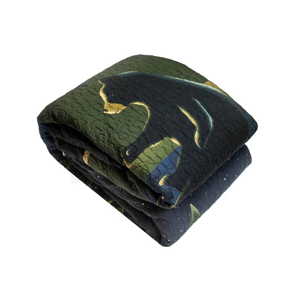 Donna Sharp Bear Campfire Quilt Set, Twin