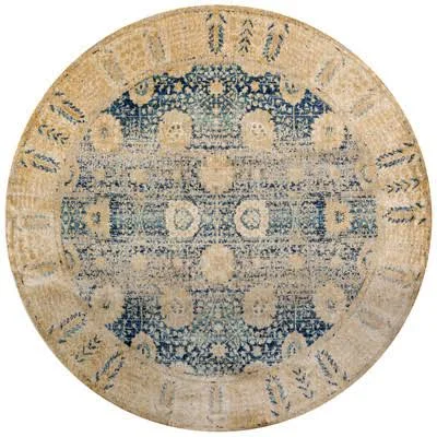 Anastasia Blue/Gold Area Rug Loloi Rugs Rug Size: Rectangle 12' x 15'