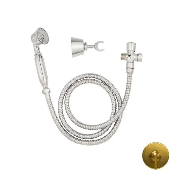 Newport Brass 281B/24S Hand Shower Set Wall Mount Satin Gold