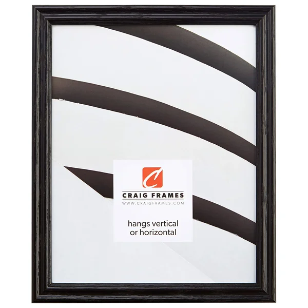 Craig Frames 200ASHBK 22 by 30-Inch Picture Frame - Wood Grain Finish, 0.75-Inch Wide, Black