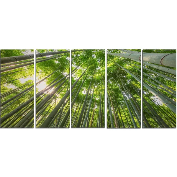 Designart &Peaks of Bamboo in Kyoto Forest& 5 Piece Wall Art on Wrapped Canvas Set