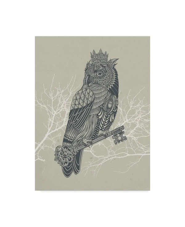 Trademark Fine Art Ali43956-C1824Gg Rachel Caldwell 'Owl King' Canvas