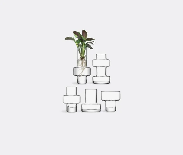 LSA Metropole Set of 5 Glass Vases