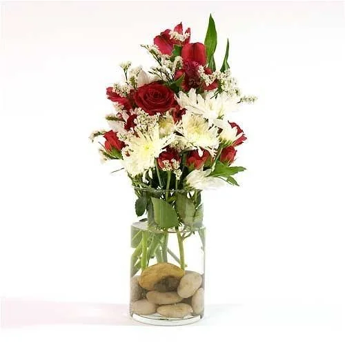 Eastland Cylinder Vases 6x22 Set of 12