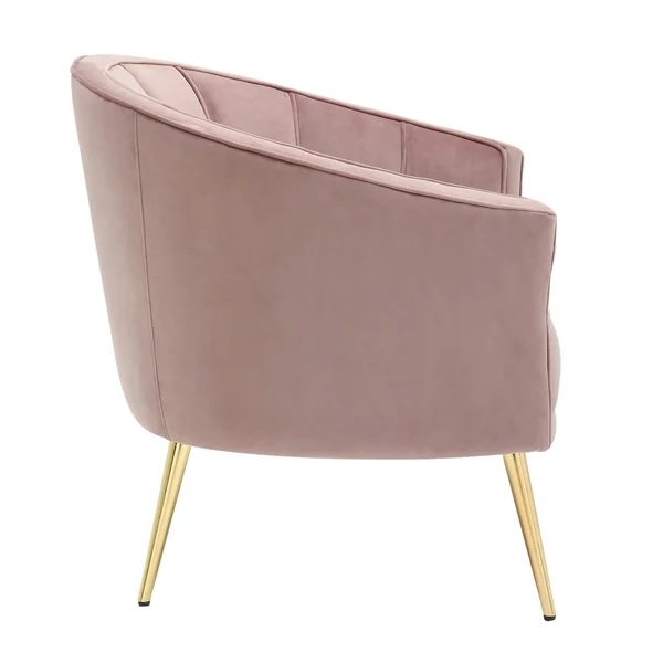 Silver Orchid Randolf Velvet Accent Chair - Black