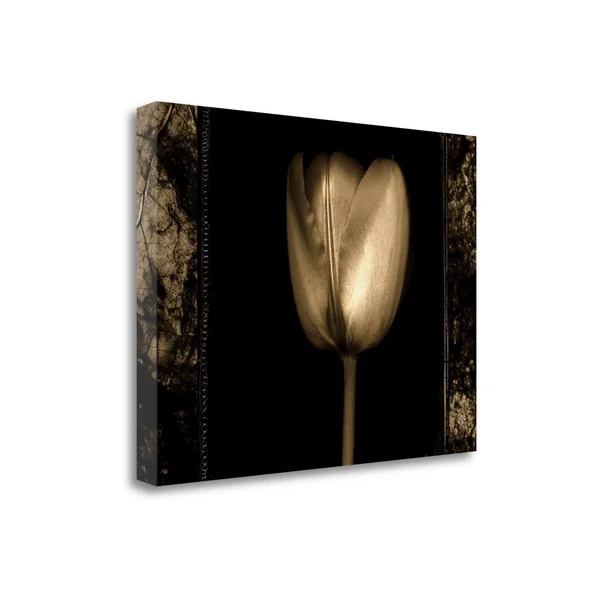 Tangletown Fine Art White Tulipa II by Rick FILLER - Giclee Print on Gallery Wrap Canvas, 33x22x25x22