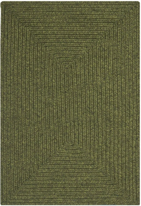 Safavieh Braided Green Area Rug; Oval 3& x 5&