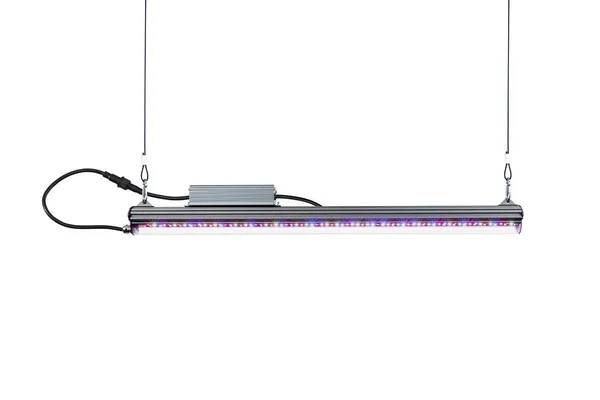 Kind LED X80 Flower Bar Light, 4&