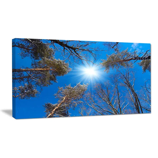Design Art Bright Sun in The Tree Top Circle - Modern Forest Canvas Wall Art - Blue - 40 in. Wide x 30 in. High