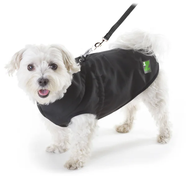 Pawz 1Z Dog Coat in Black