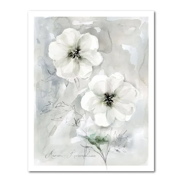 Courtside Market White Anemone II Gallery Canvas Wall Art, 20x24
