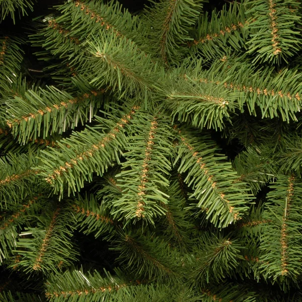 National Tree 7& North Valley Spruce Hinged Tree
