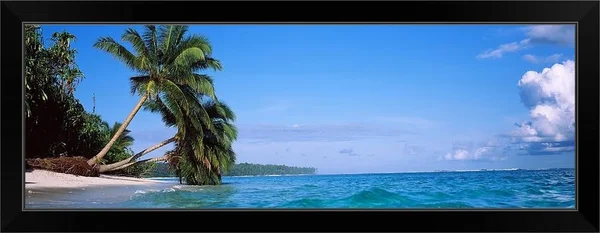 Palm Trees on The Beach, Indonesia, Black Framed Wall Art, 36x12, Great Big Canvas