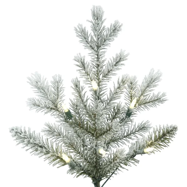 Vickerman Frosted Eastern Frasier Fir Christmas Tree