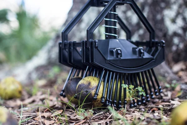 Stab-A-Nut Black Walnut Harvester