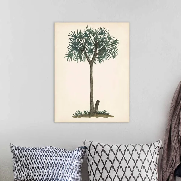Palm Tree Study III, Canvas Wall Art, 18x24, Great Big Canvas