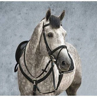 Amigo Bridle with Flash & Rubber Reins - Standard Horse, Black