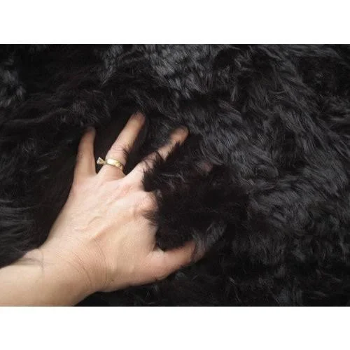 Walk on Me Animal Brown Area Rug, Size: Rectangle 2&3 inch x 3&8 inch