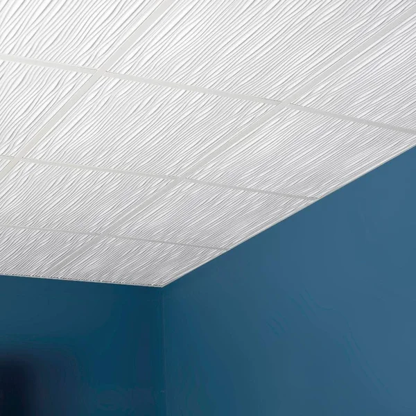 Genesis Drifts 2 ft. x 2 ft. Lay-In Ceiling Panel