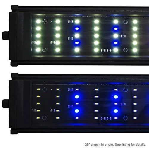 Beamworks Beamswork Da 6500K 0.50W Series LED Pent Aquarium Light Freshwater Plant Discus (60cm - 24 inch)