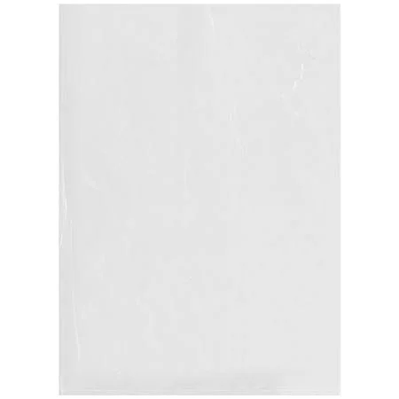 Plymor Flat Open Clear Plastic Poly Bags, 2 mil, 13 inch x 18 inch, Size: Case of 1000