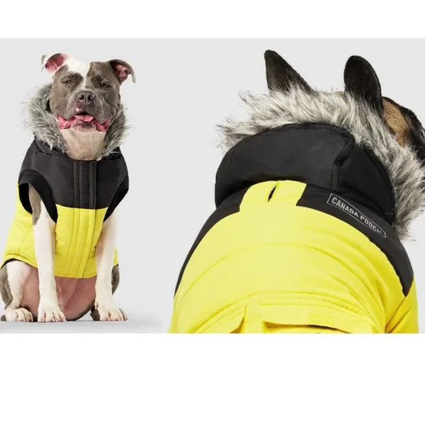True North Parka - Yellow - Canada Pooch 229782