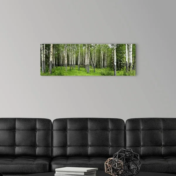 Aspen Trees in A Forest - Banff, Banff National Park, Alberta, Canada, Canvas Wall Art, 36x12, Great Big Canvas