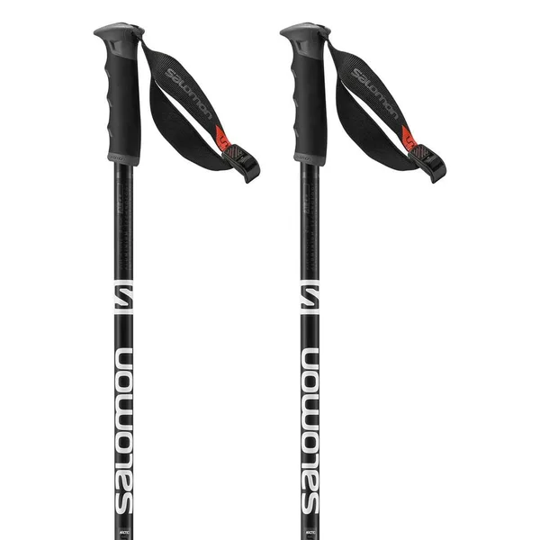 Salomon Arctic S3 Ski Poles Black/Grey, 110cm