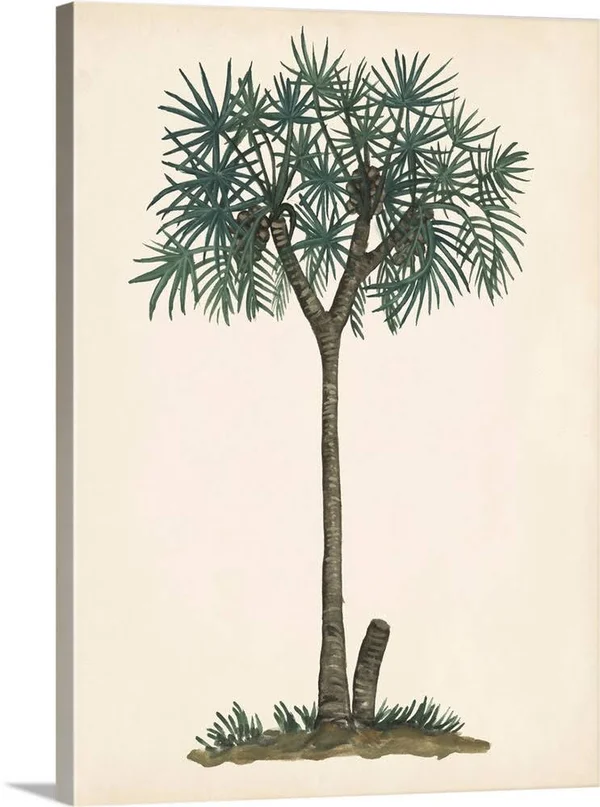 Palm Tree Study III, Canvas Wall Art, 18x24, Great Big Canvas