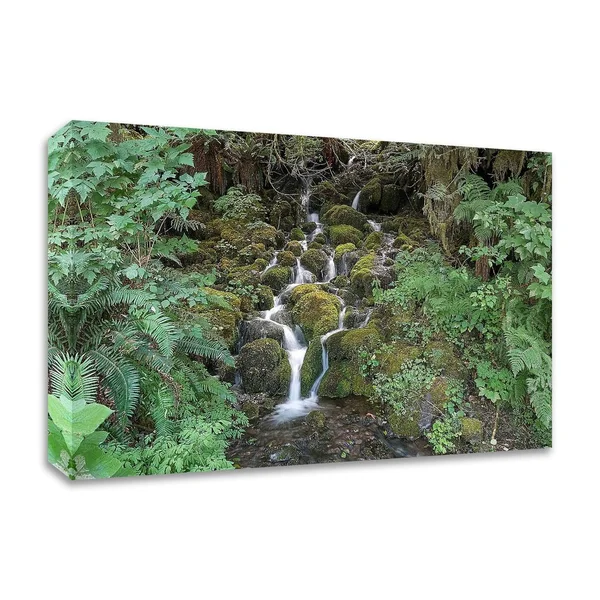 Tangletown Fine Art Fern Waterfall by Lynda White, Print on Canvas, Ready to Hang