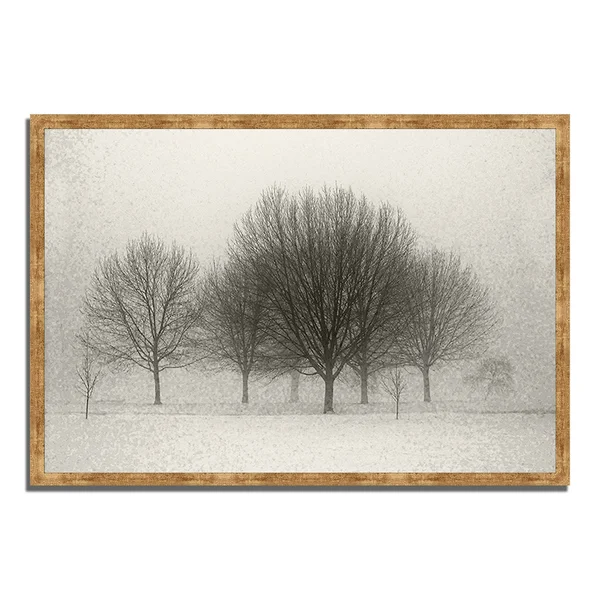 Fading Memories - 38x22 x 26x22 Framed Photograph Print, Ready to Hang