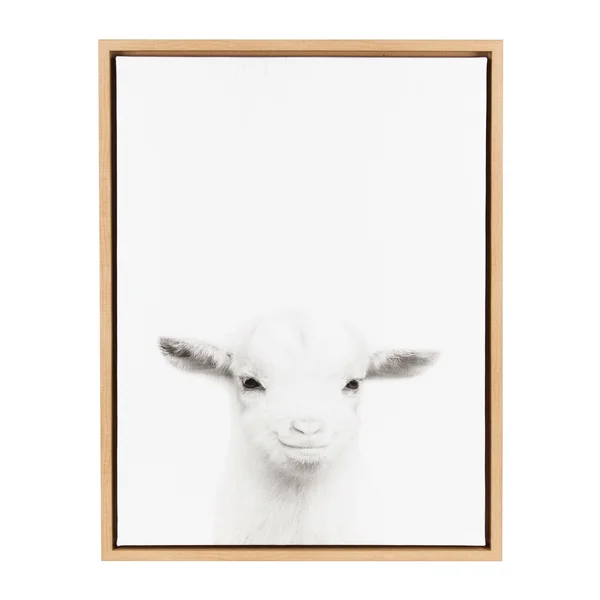 Kate and Laurel Sylvie Baby Goat Black and White Portrait Natural Framed Canvas Wall Art by Simon TE Tai