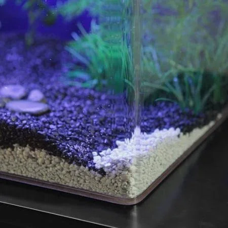 Clear for Life20R 20-Gallon Rectangle Aquarium - Black
