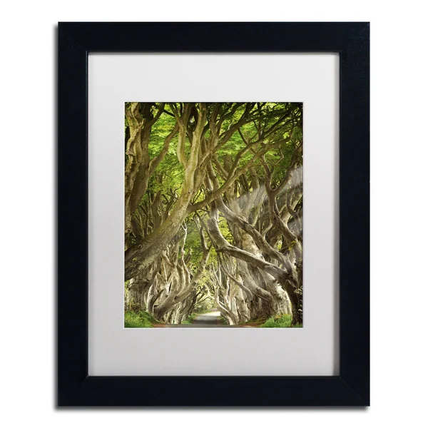 Trademark Fine Art The Way It Is Canvas Art by Philippe Sainte-Laudy, 11x22 x 14x22