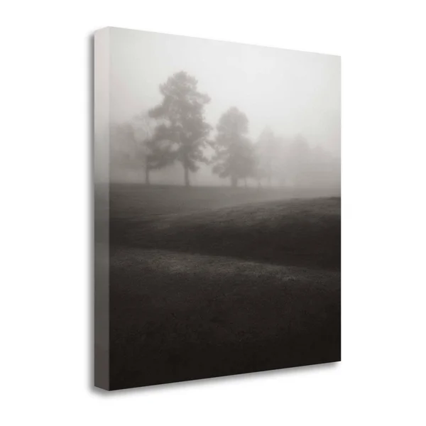 Tangletown Fine Art Fog Tree Study II by Jamie Cook - Giclee Print on Gallery Wrap Canvas, 35x22X35x22