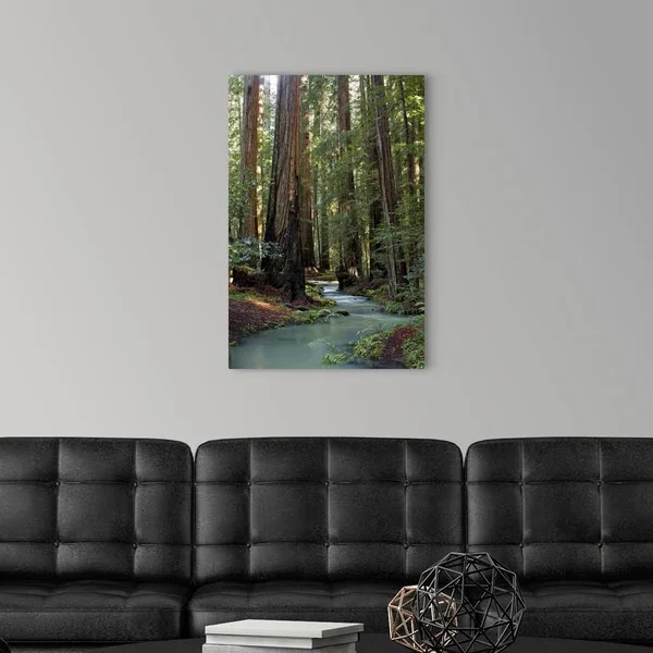 Redwood Forest III - Large Solid-Faced Canvas Wall Art Print, Great Big Canvas