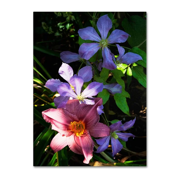 Trademark Global Kurt Shaffer 'Clematis and Lily' Canvas Art