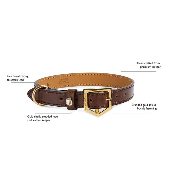 Fitzroy Dog Collar - Mahogany Leather - Medium
