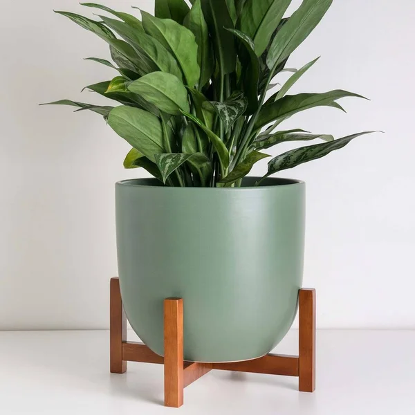 Peach & Pebble, Contour Ceramic Planter + Wood Stand Forest Green, Medium, 12 inch