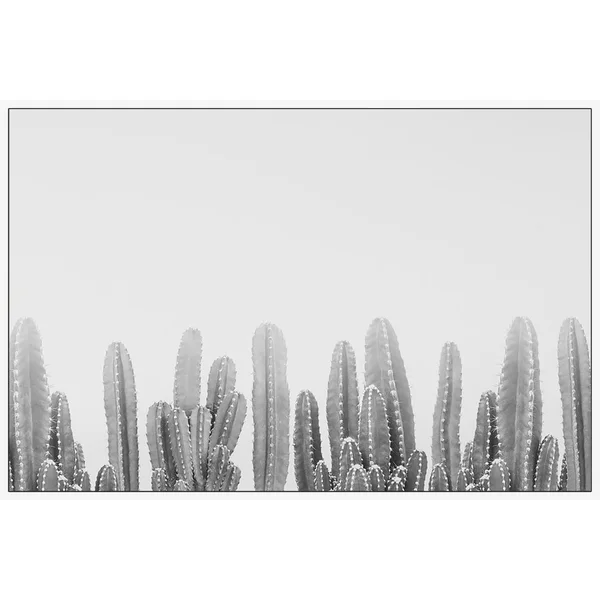 Marmont Hill - Handmade Cacti Splendor II Floater Framed Print on Canvas - 30 x 20