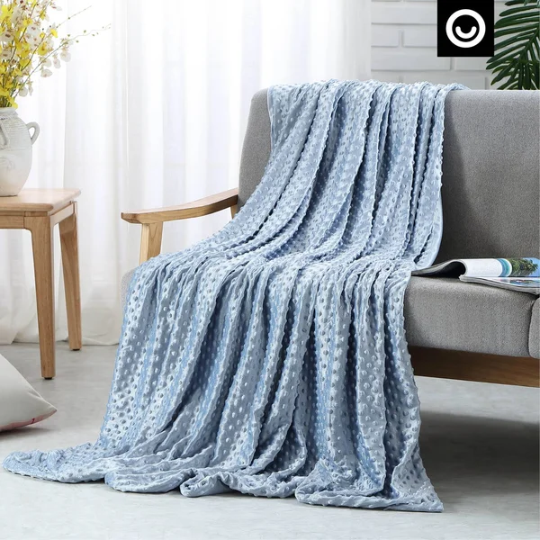 Weighted Blanket Light Blue - 48x72x22 12 lbs