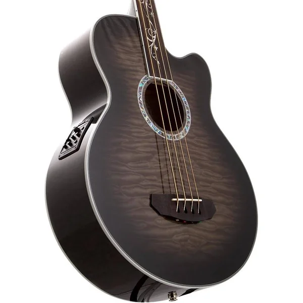 Michael Kelly Dragonfly 4 Fretless Acoustic-Electric Bass Smoke Burst