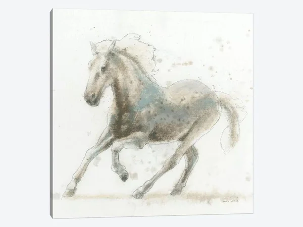 James Wiens Canvas Art Picture - Stallion II ( Animal Art > Farm Animals > Horses art)