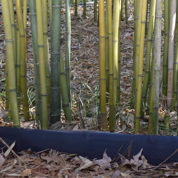 Bamboo Shield - 80 Mil Thick by 30in Depth 90 Feet