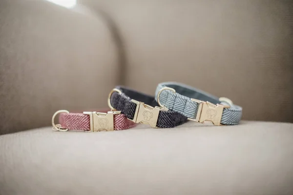 Kentucky Dogwear Dog Collar Wool