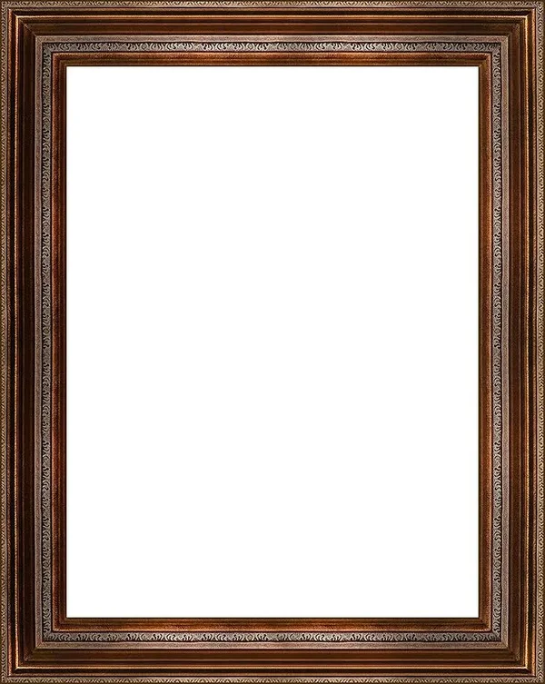 Mediterranean Bronze Frame 30x22x40x22 Museum Frame - 30 x 40