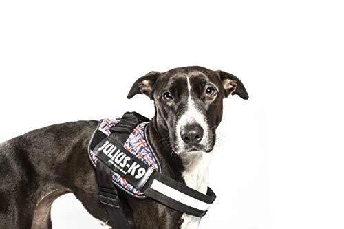 Julius-K9 IDC-Power Harness, British Flag, Size: 4/96-138 cm/38-54.5x22